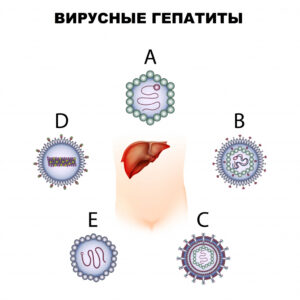 Диагностика вирусных гепатитов